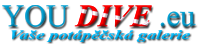 YOUDIVE Logo