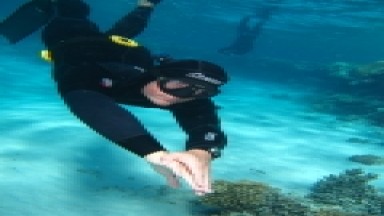 3-Freediving a šnorchlování