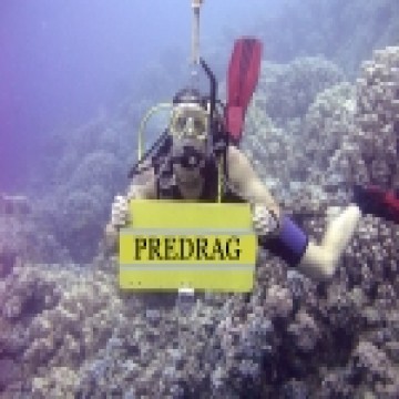 predrag1's avatar