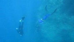 Freediving Malta Vrak P29