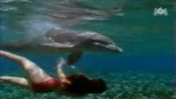 Dívka s Delfíny