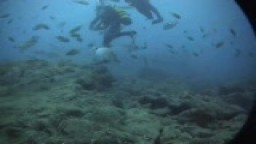 Potápění na Kanárských ostrovech - Las Galetas 2.díl