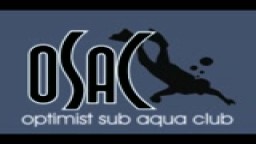 Potápěči OSAC Plzeň pozdravili vstup do roku 2011 přípitkem pod ledem