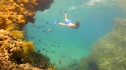 Freediving Chorvatsko
