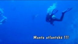 Manta