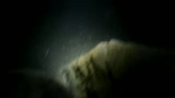 Potápění na lomu Borek říjen 2012 podruhé