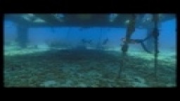 Aquarius: Freediving the Dream - The Amazing Dives of the World