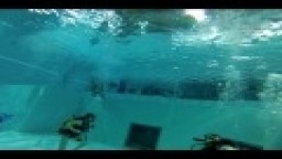 nemo33