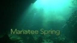 Manatee Springs Florida caves